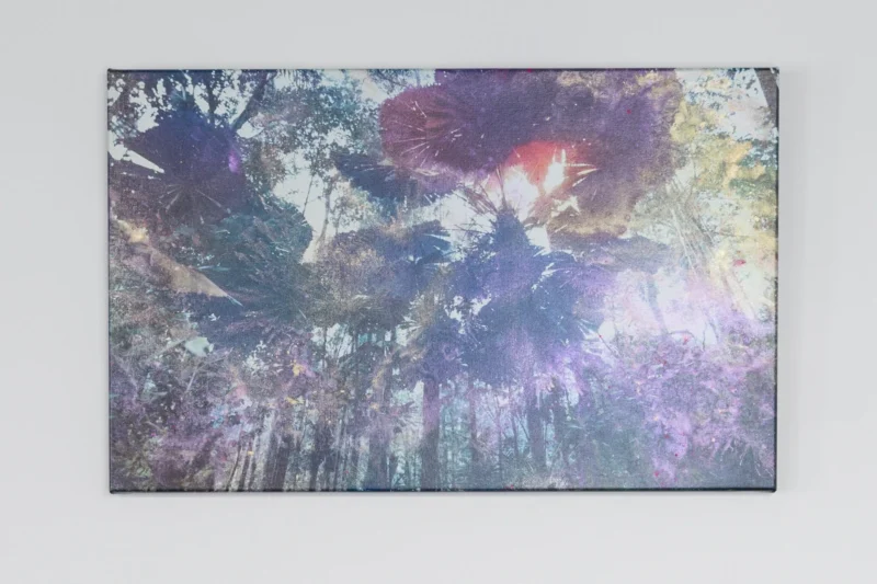 Danie Mellor, The ancient (all this Country), 2026