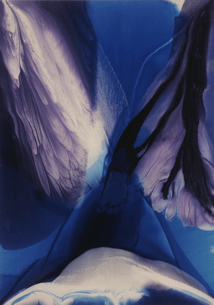 Image for Paul Jenkins: As Above so Below, at Ronchini