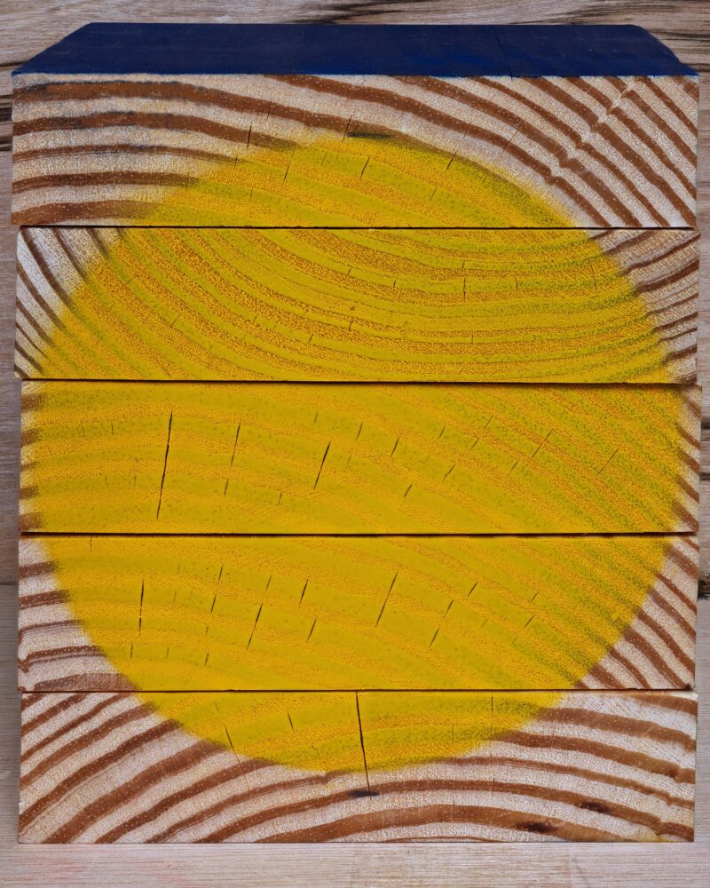 Abelardo Morell, Yellow Circle on Wood, 2025