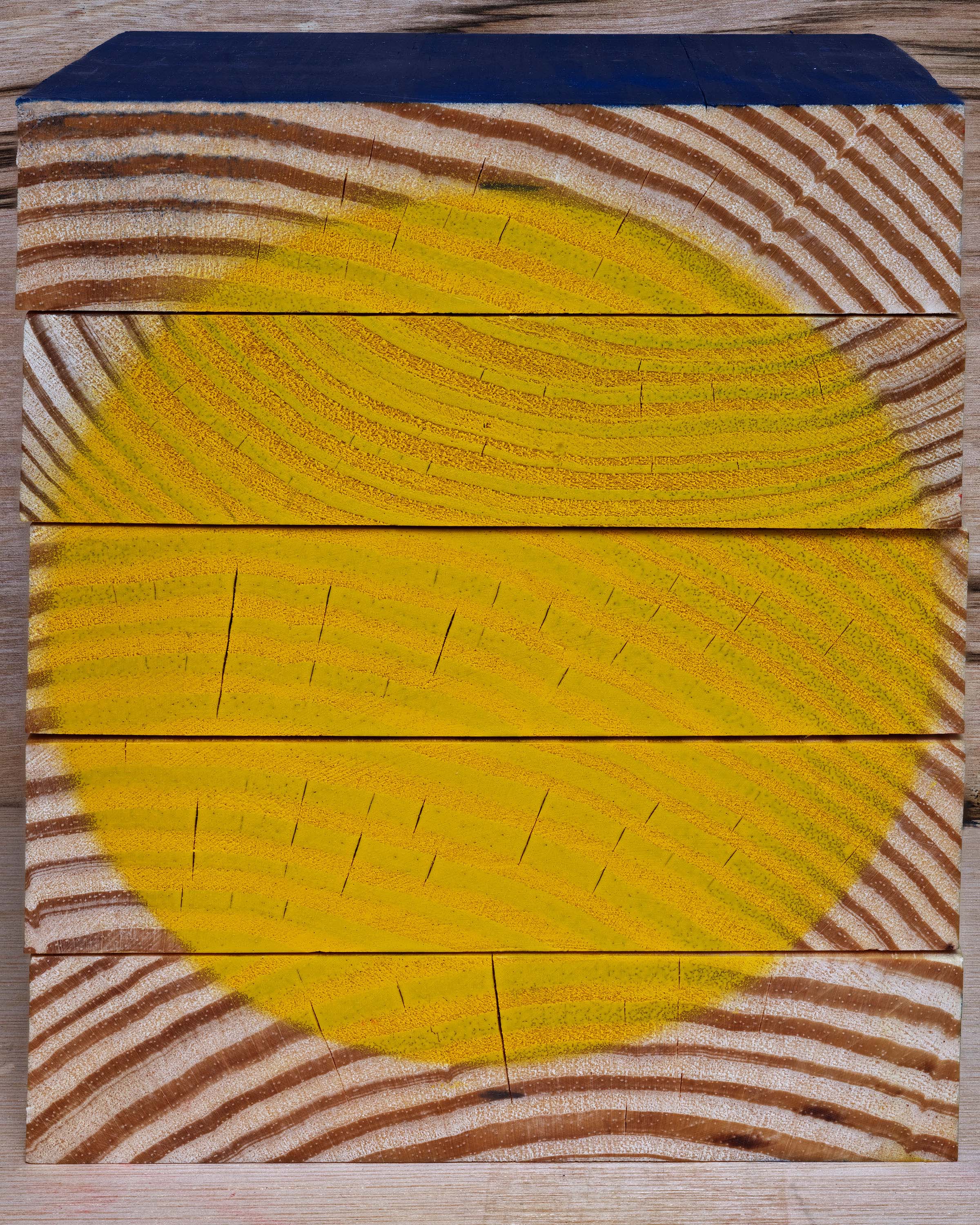 Abelardo Morell, Yellow Circle on Wood, 2025