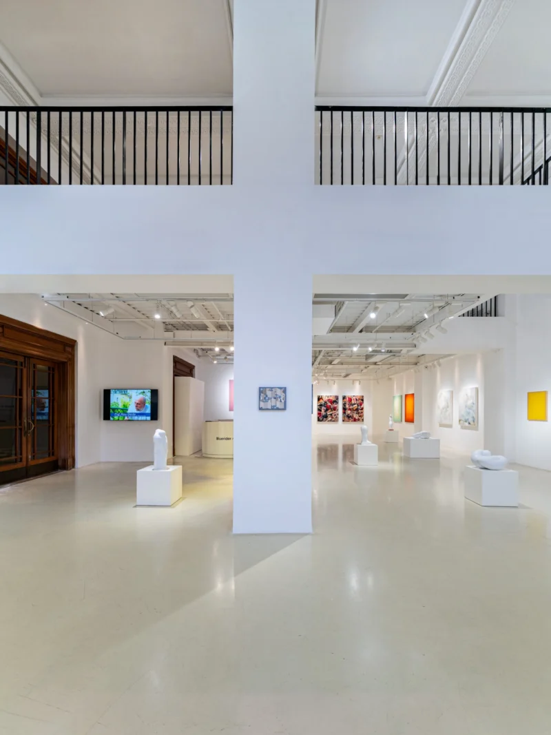 Installation shot from Void & Volume, @ Bluerider ART