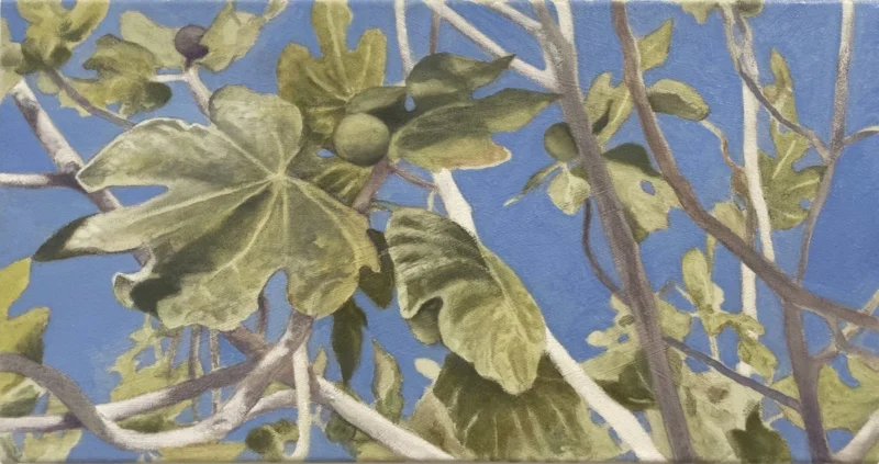 Ruben Müller, Fig Tree, 2026