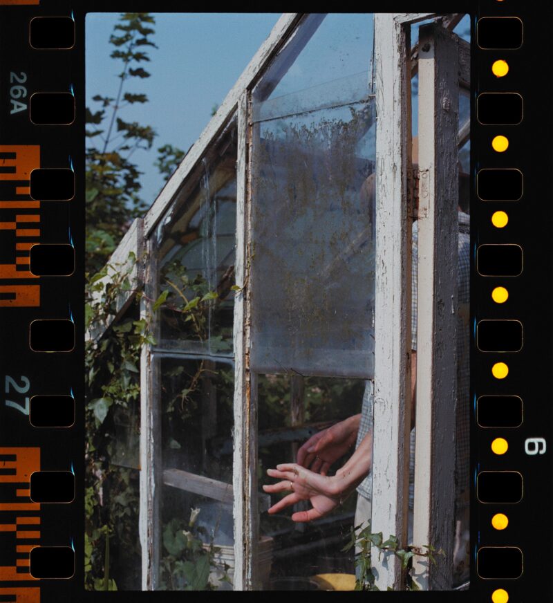 Jyll Bradley, Greenhouse, 1987