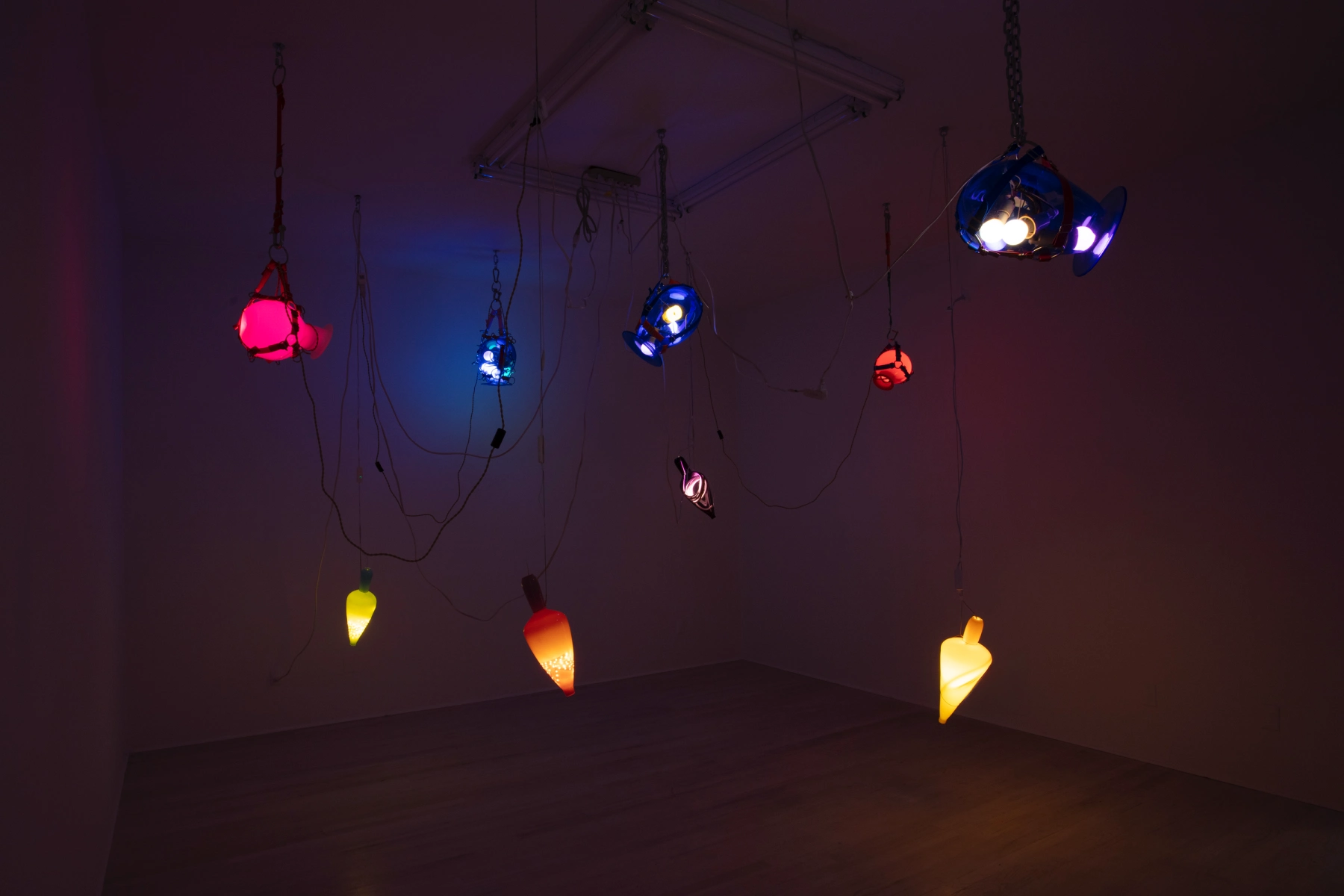 Image for Elias Hansen: Holding Pattern, Holding Fast, at Halsey McKay Gallery