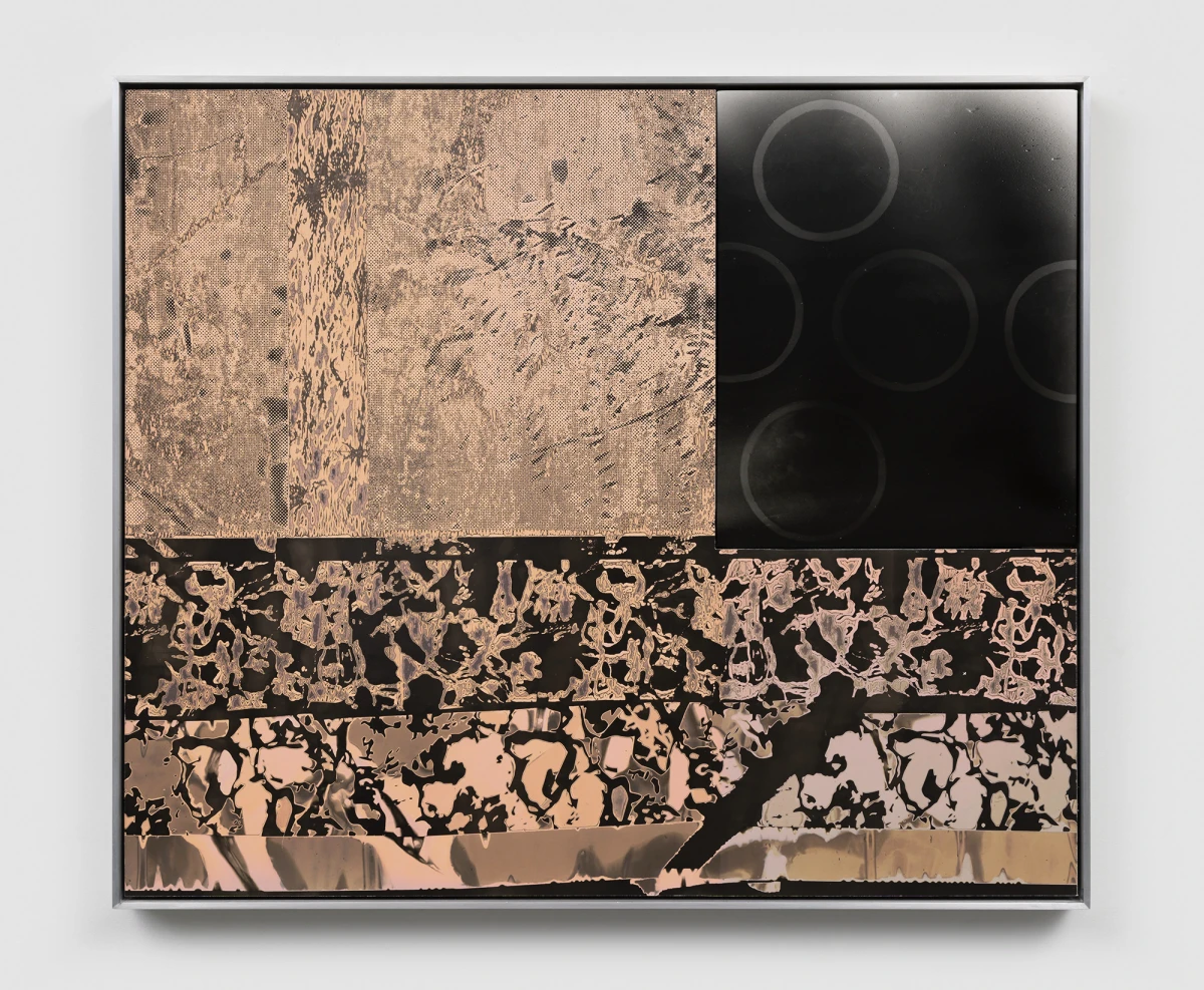 Antonia Kuo, Dendrite, 2026