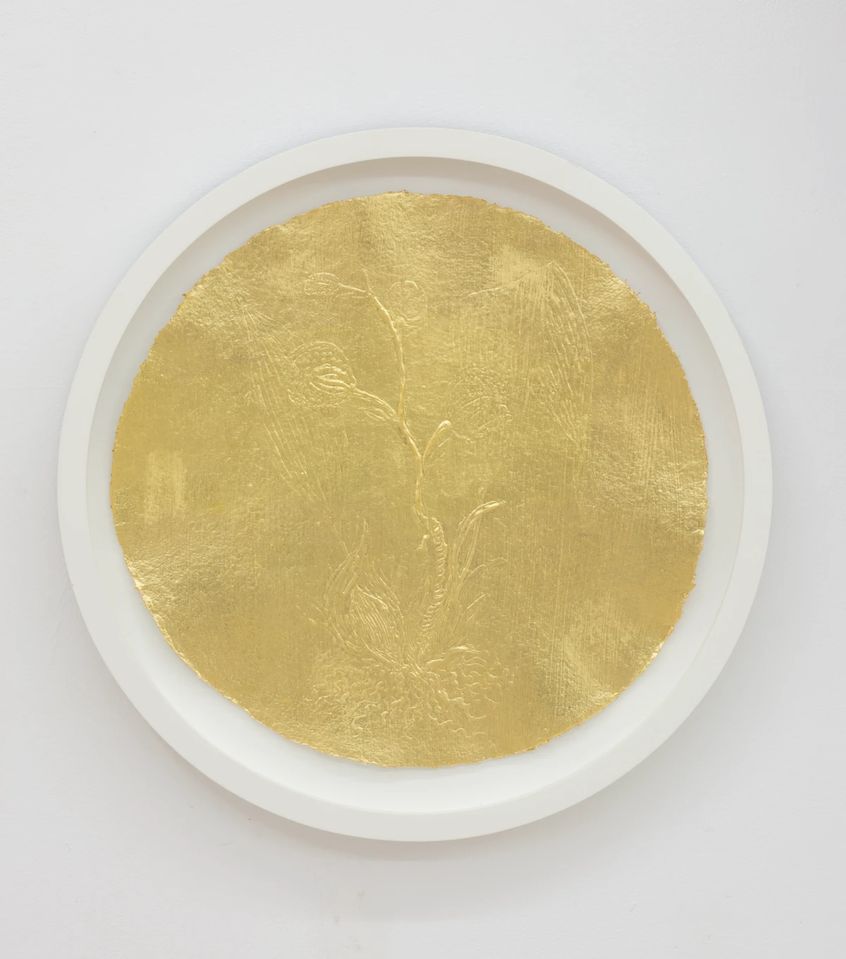 Stacy Lynn Waddell, Untitled (Acineta Superba), 2025