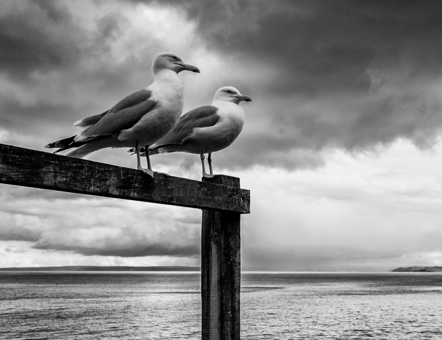 Image for Chasing Light: The Unseen Photographs of Jethro Lyne, at Messums West