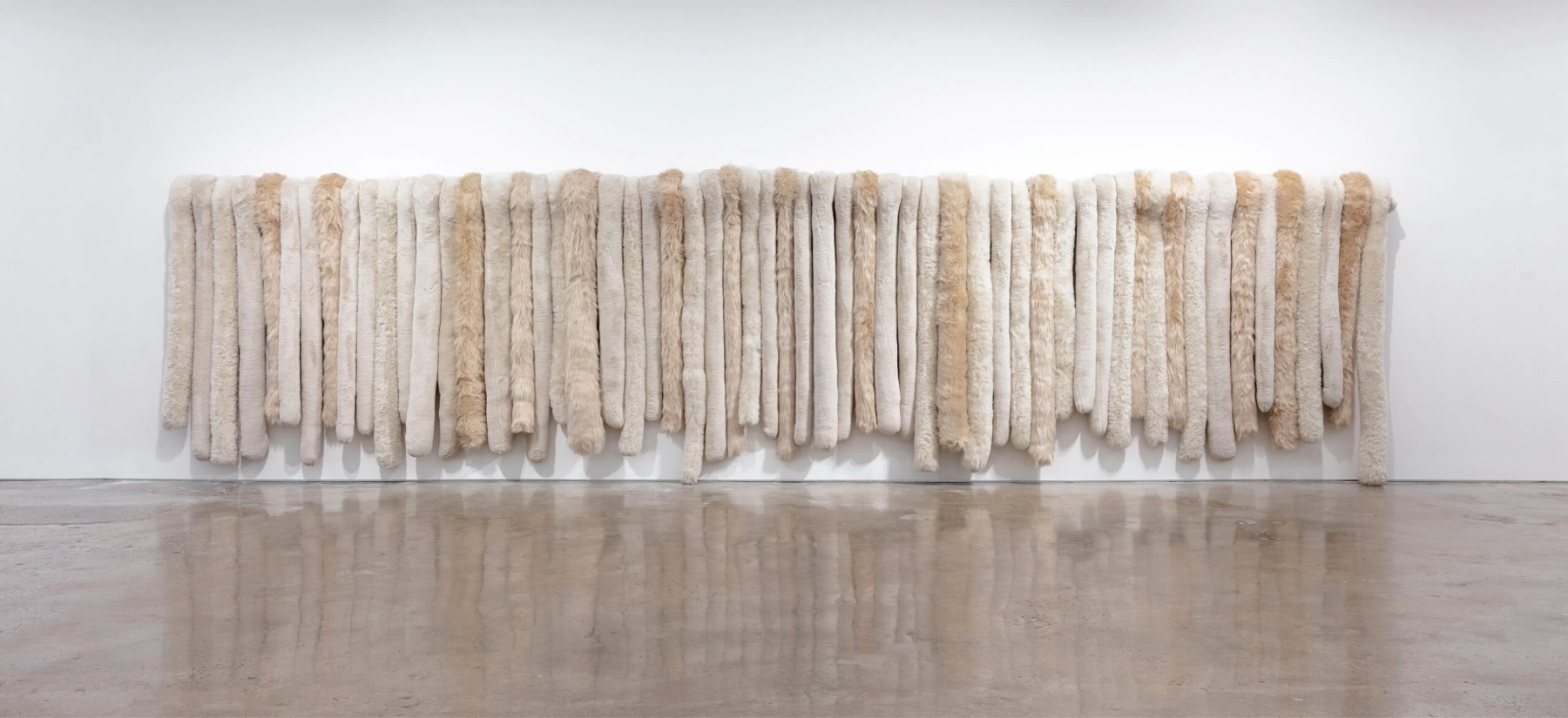 Image for Kathy Temin: Wall Works 2026, at Ames Yavuz