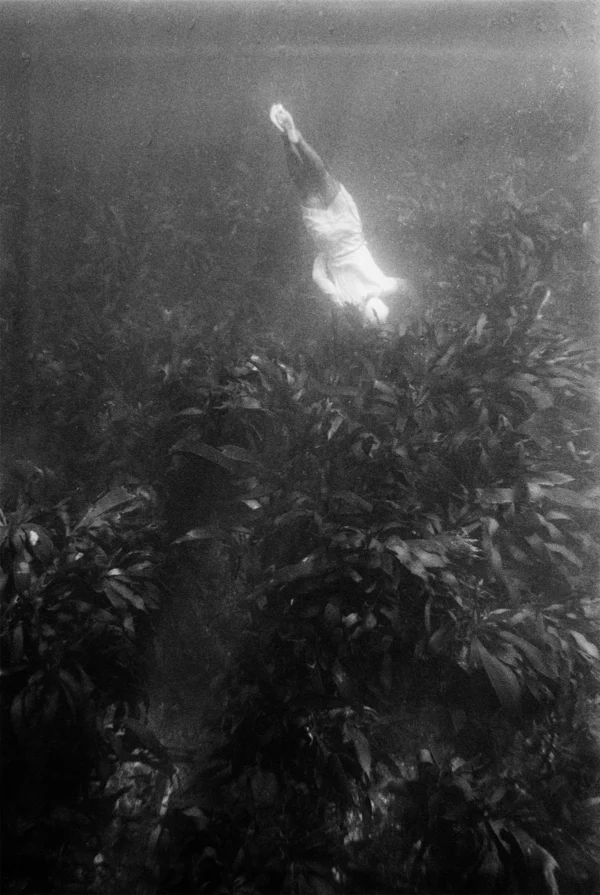 Biting Point @Wyn at Pipeline, London  - GalleriesNow.net 