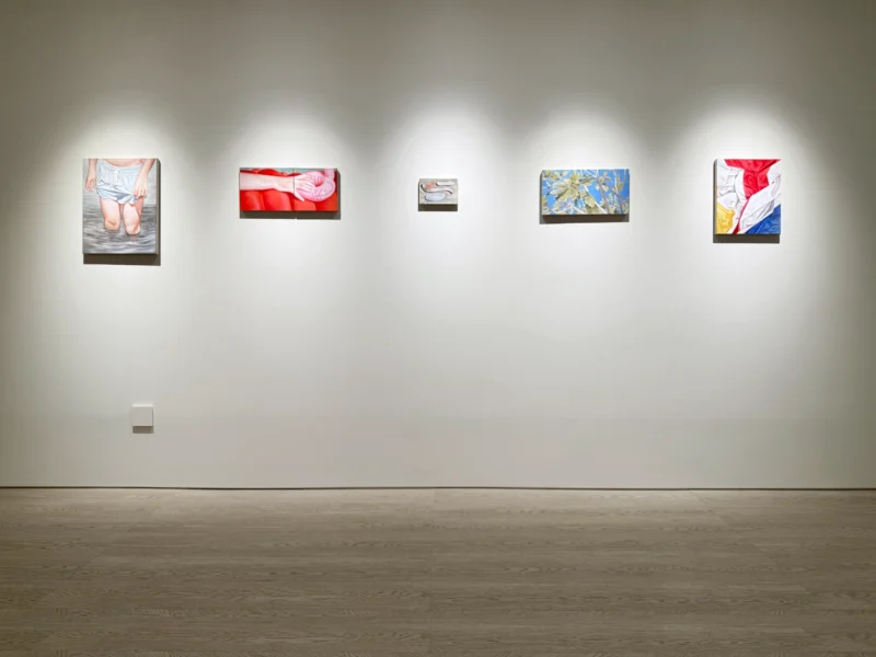 Installation shot from Ruben Müller: In the Thick of Summer, @ LKIF Gallery