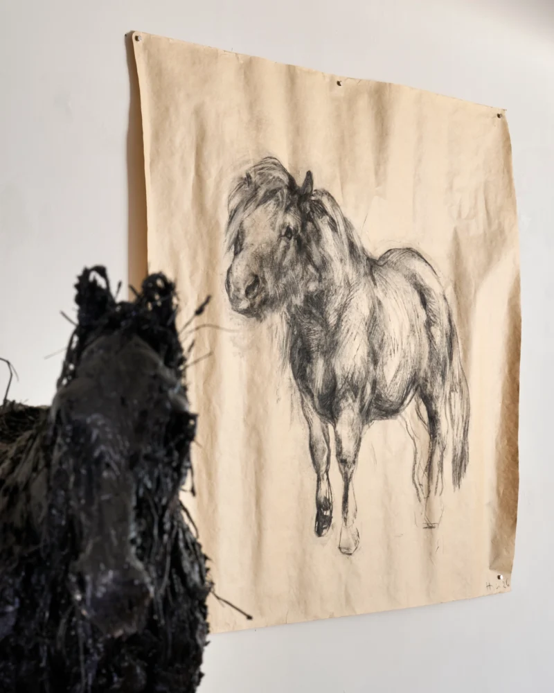 Installation shot from Nicola Hicks, @ Messums Org
