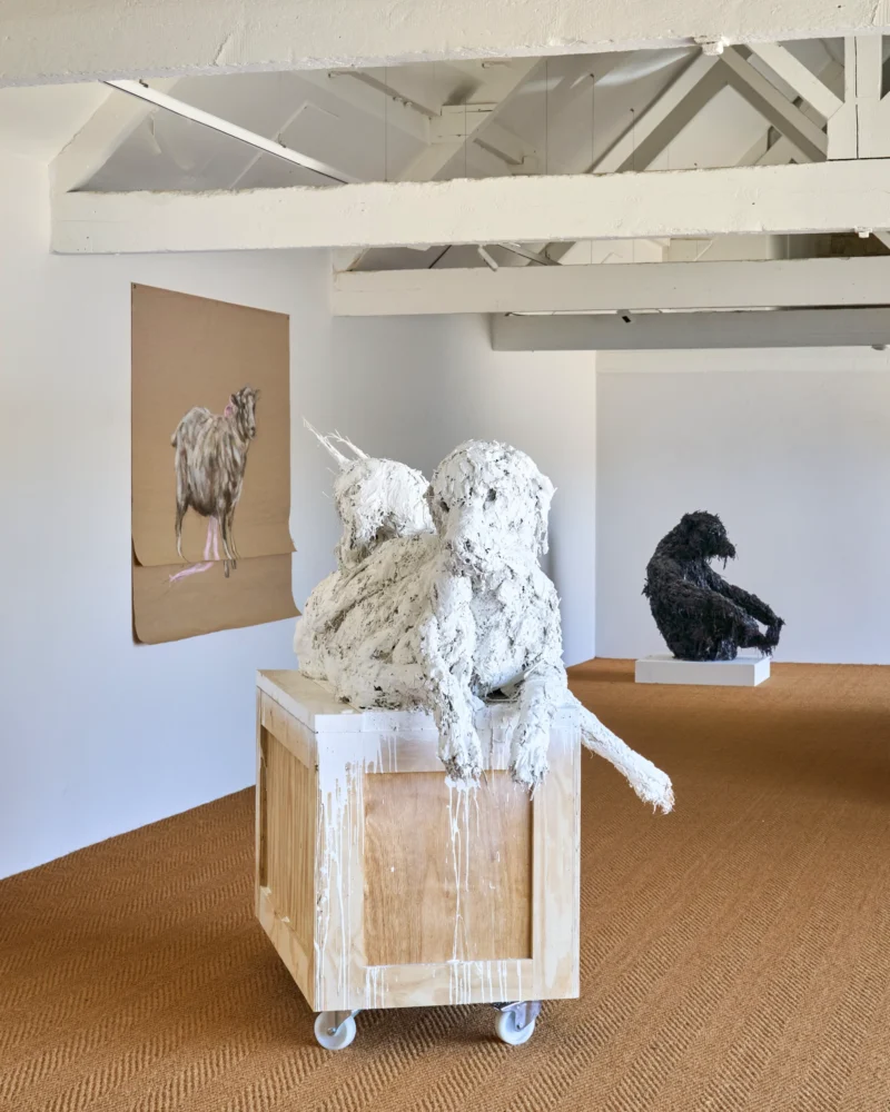 Installation shot from Nicola Hicks, @ Messums Org
