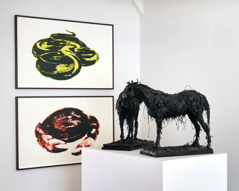 Installation shot from Nicola Hicks, @ Messums Org