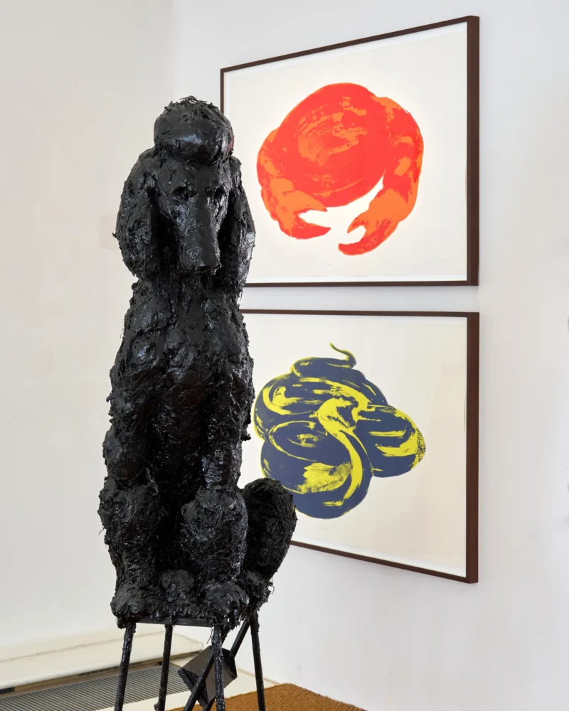 Installation shot from Nicola Hicks, @ Messums Org
