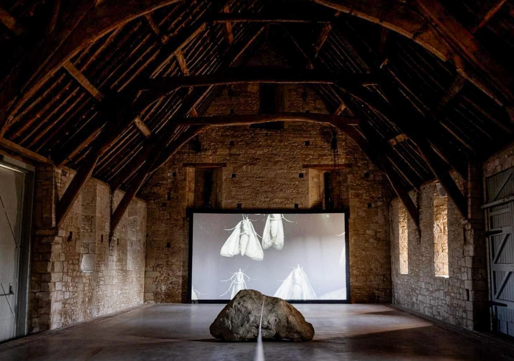 Image for Peachey & Mosig: The Sky Has Already Fallen, at Messums West