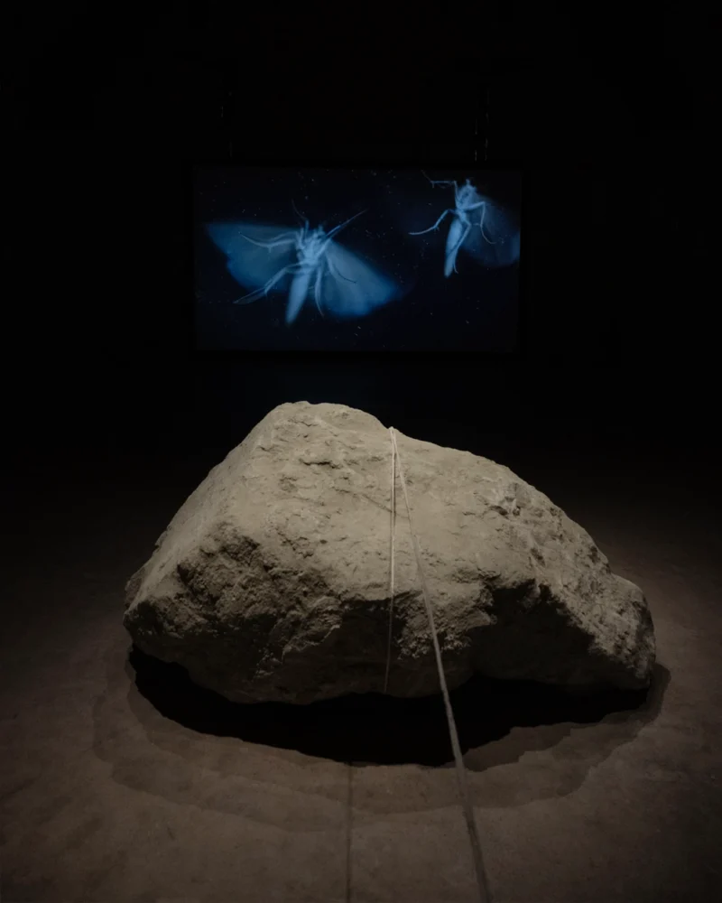 Installation shot from Peachey & Mosig: The Sky Has Already Fallen, @ Messums Org