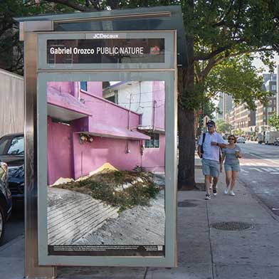 Image from Gabriel Orozco: Public Nature, at Public Art Fund