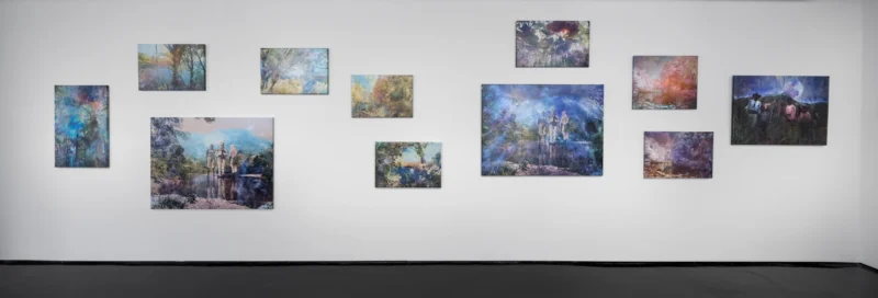 Installation shot from Danie Mellor: Awake (in the Dream), @ Tolarno Galleries