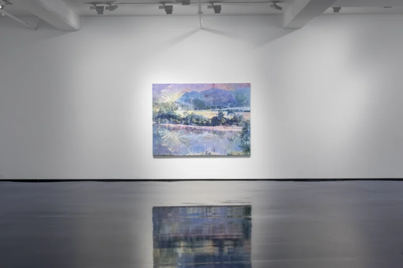 Installation shot from Danie Mellor: Awake (in the Dream), @ Tolarno Galleries
