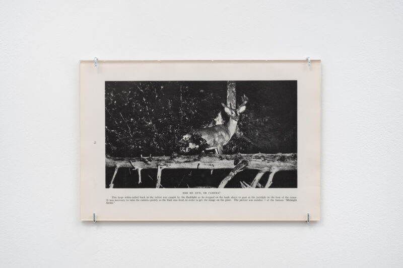 Jessica Sarah Rinland, Has He Gun, or Camera?, 2026