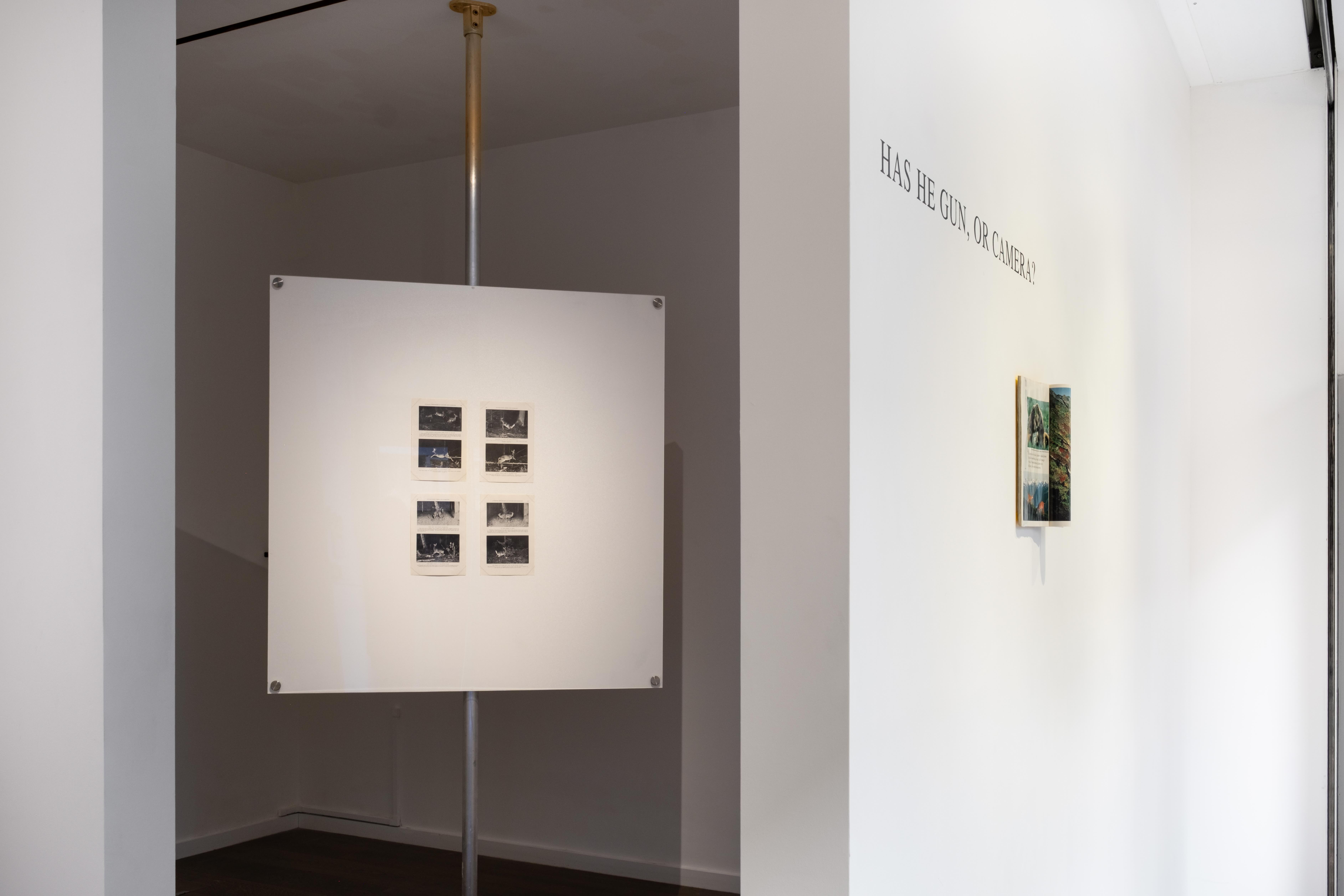 Image for Jessica Sarah Rinland: Mutual Interruption, at Alma Pearl