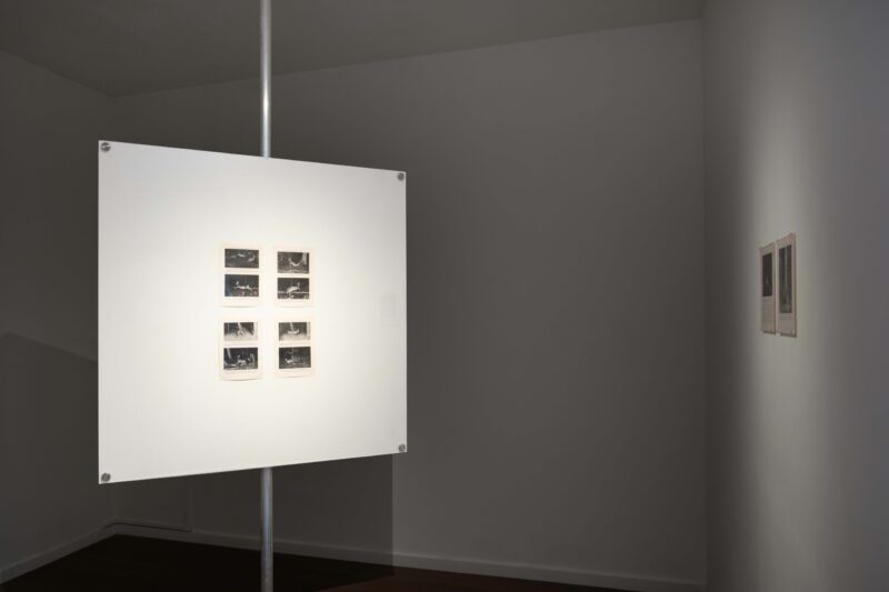 Installation shot from Jessica Sarah Rinland: Mutual Interruption, @ Alma Pearl