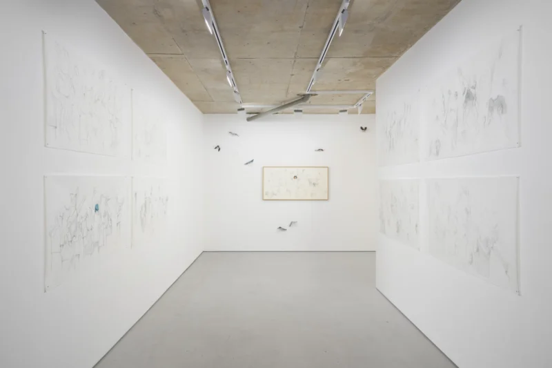 Installation shot from Ruth Beraha: One day, out of the blue, I fell in love with you, @ Alice Amati