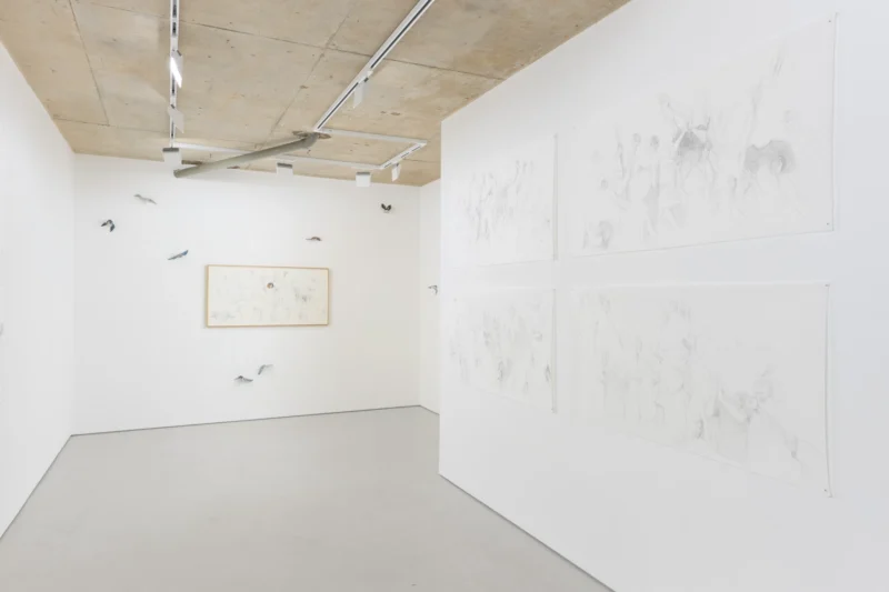 Installation shot from Ruth Beraha: One day, out of the blue, I fell in love with you, @ Alice Amati