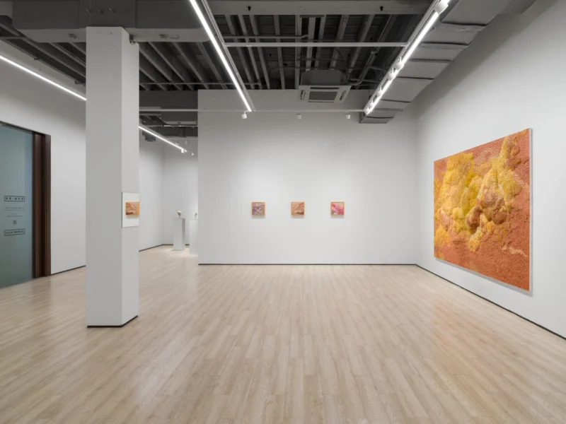 Installation shot from Tia-Thuy Nguyen: Fields of Resonance, @ Almine Rech