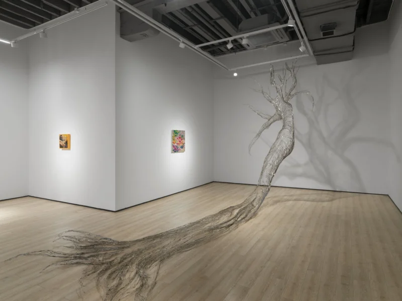 Installation shot from Tia-Thuy Nguyen: Fields of Resonance, @ Almine Rech