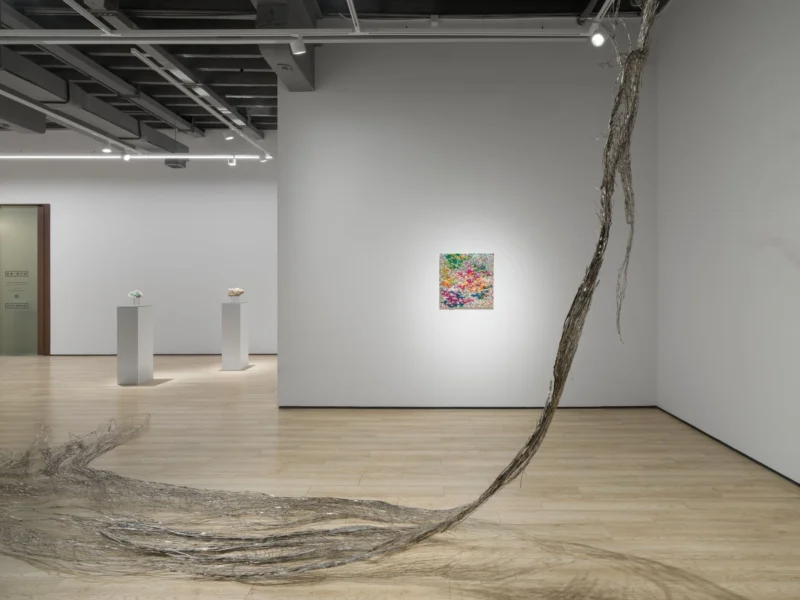 Installation shot from Tia-Thuy Nguyen: Fields of Resonance, @ Almine Rech