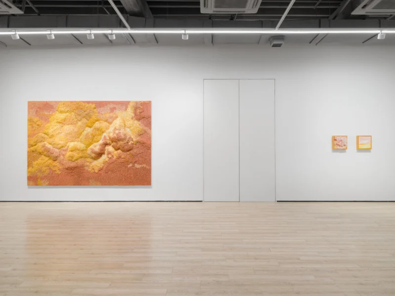 Installation shot from Tia-Thuy Nguyen: Fields of Resonance, @ Almine Rech