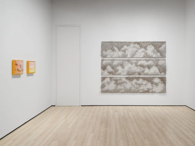 Installation shot from Tia-Thuy Nguyen: Fields of Resonance, @ Almine Rech