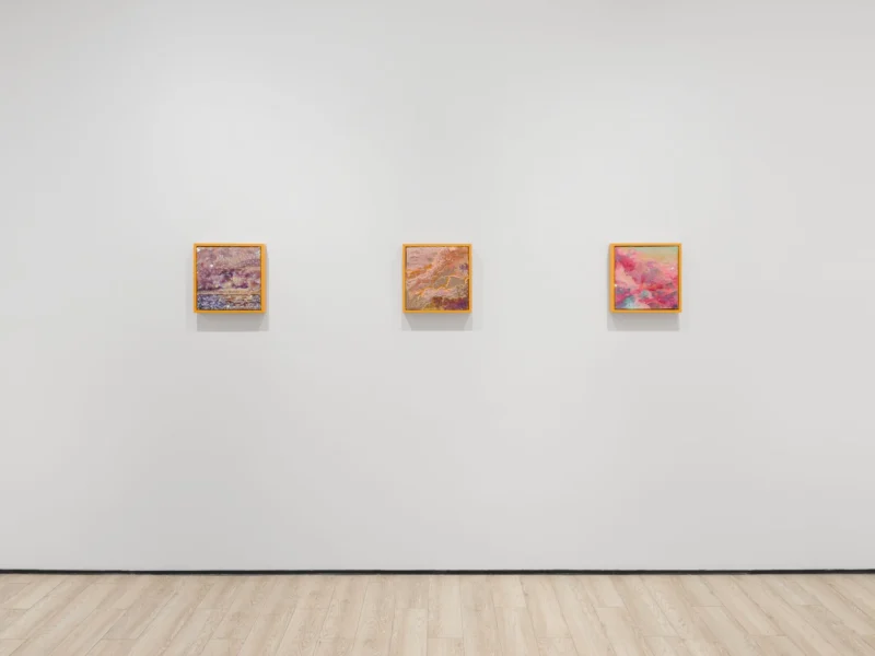 Installation shot from Tia-Thuy Nguyen: Fields of Resonance, @ Almine Rech