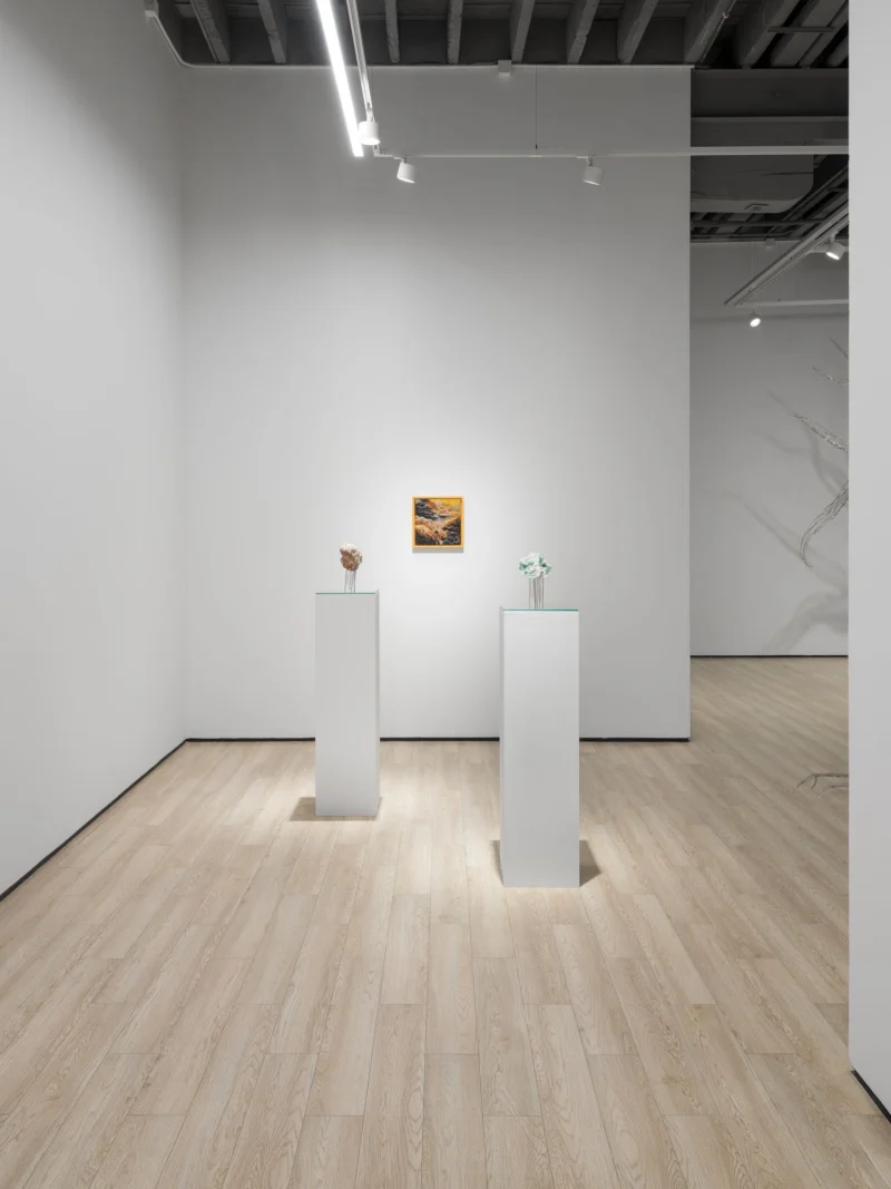 Installation shot from Tia-Thuy Nguyen: Fields of Resonance, @ Almine Rech