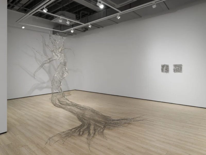 Installation shot from Tia-Thuy Nguyen: Fields of Resonance, @ Almine Rech