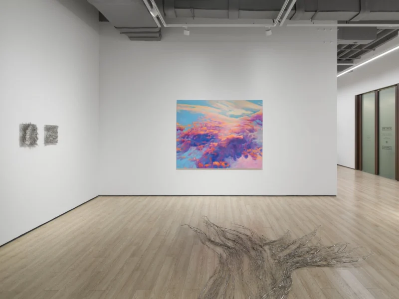 Installation shot from Tia-Thuy Nguyen: Fields of Resonance, @ Almine Rech