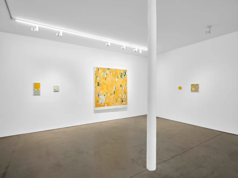 Installation shot from Pierre Bellot: Vallée FM, @ Art: Concept