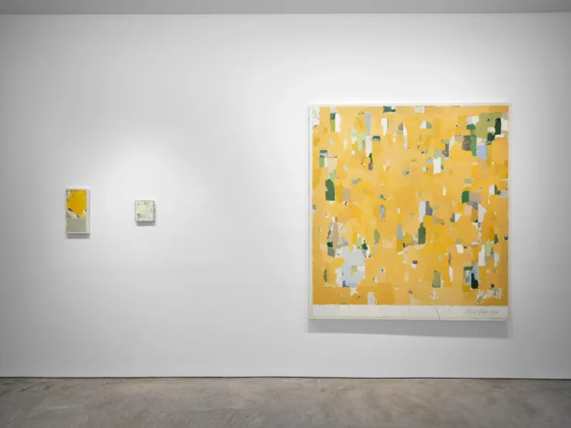 Installation shot from Pierre Bellot: Vallée FM, @ Art: Concept