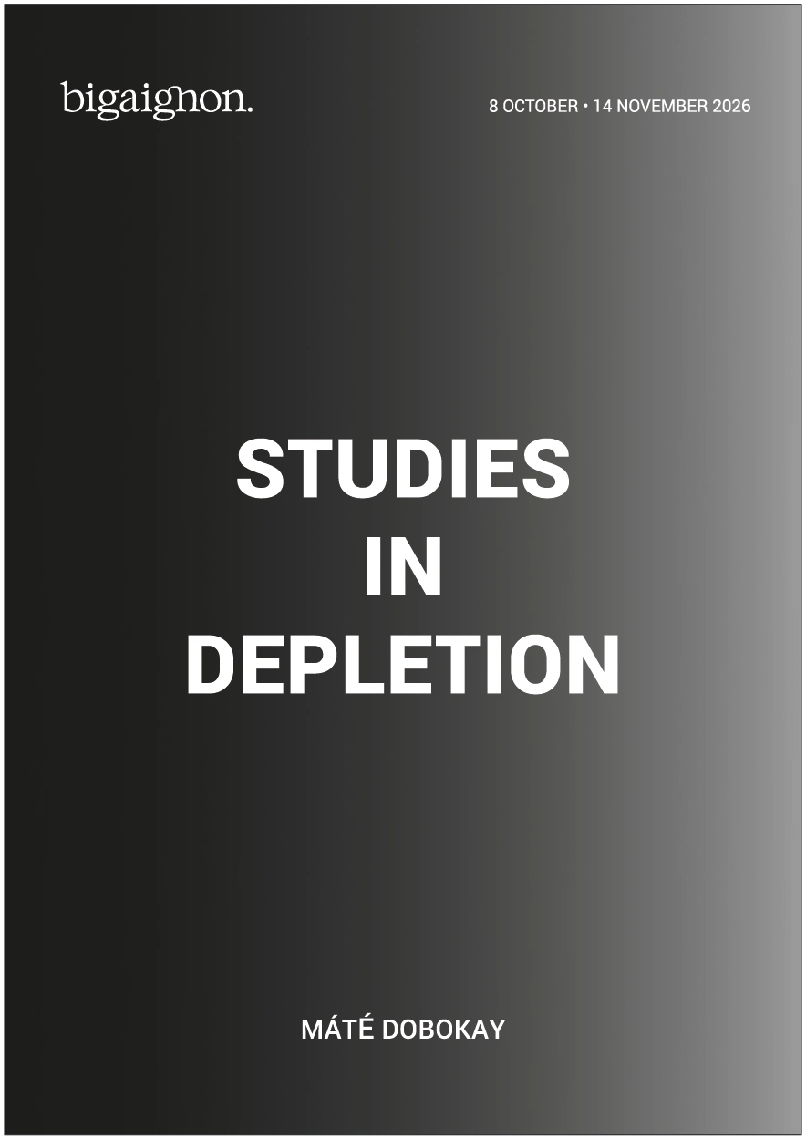Image for Máté Dobokay: Studies in Depletion, at Bigaignon