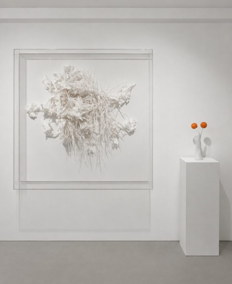 Installation shot from Lumière Liquide, @ Helvetika 1575