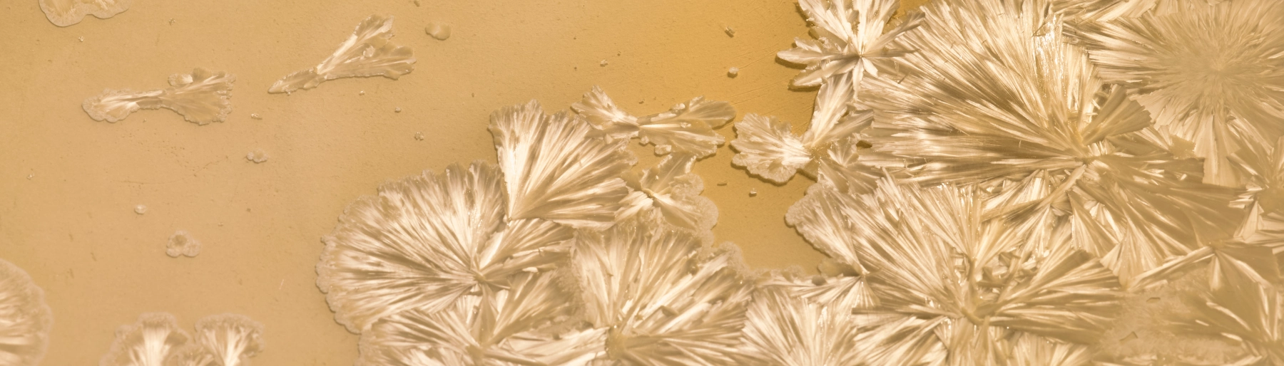 Image for Charly Blackburn: Lanthanides: Rare Earth Spectra at County Hall Pottery