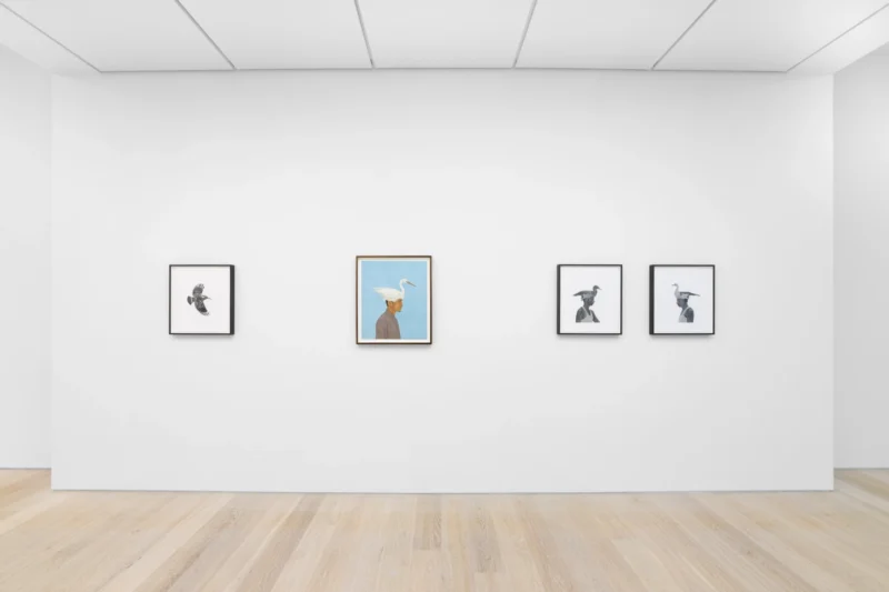 Installation shot from Ali Kazim: Alphabets, @ Cristea Roberts Gallery