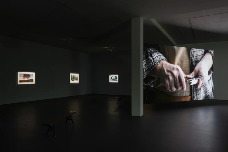 Installation shot from David Claerbout: Repose, @ Esther Schipper