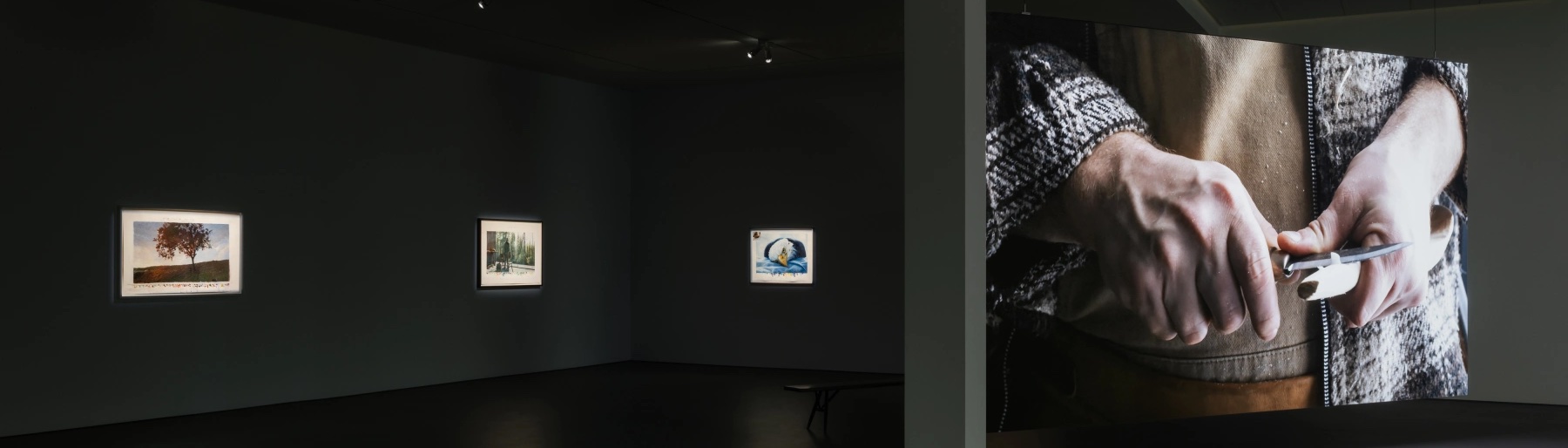 Image for our show of the day, David Claerbout: Repose, at Esther Schipper