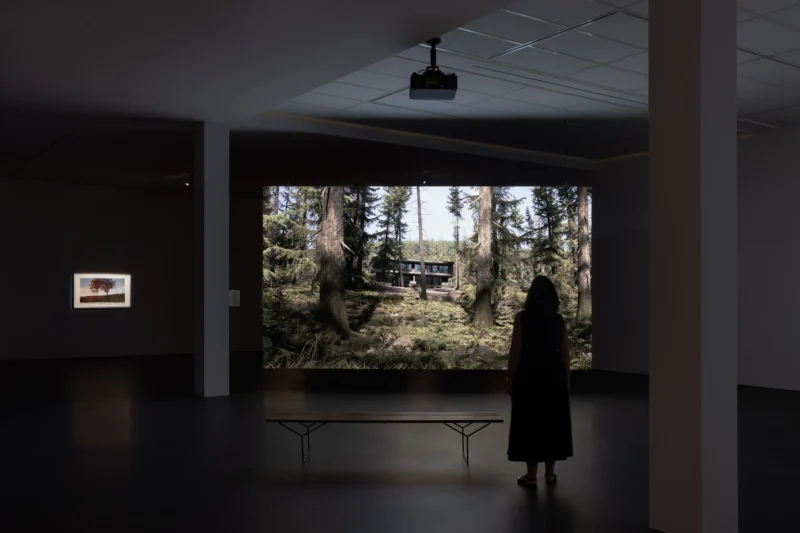 Installation shot from David Claerbout: Repose, @ Esther Schipper