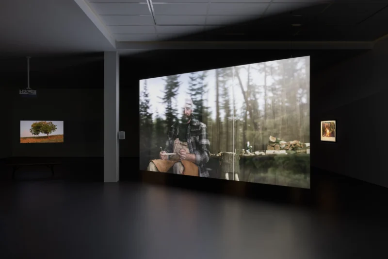 Installation shot from David Claerbout: Repose, @ Esther Schipper