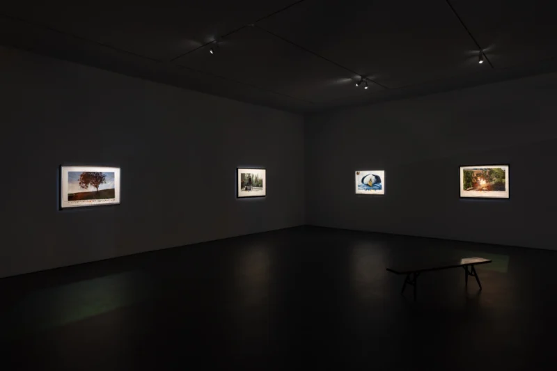 Installation shot from David Claerbout: Repose, @ Esther Schipper