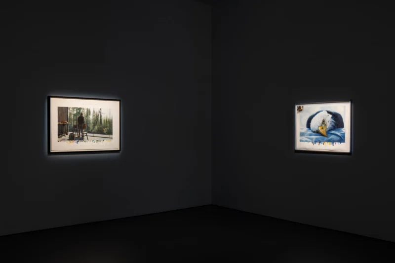 Installation shot from David Claerbout: Repose, @ Esther Schipper