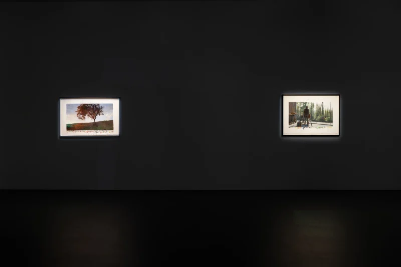 Installation shot from David Claerbout: Repose, @ Esther Schipper
